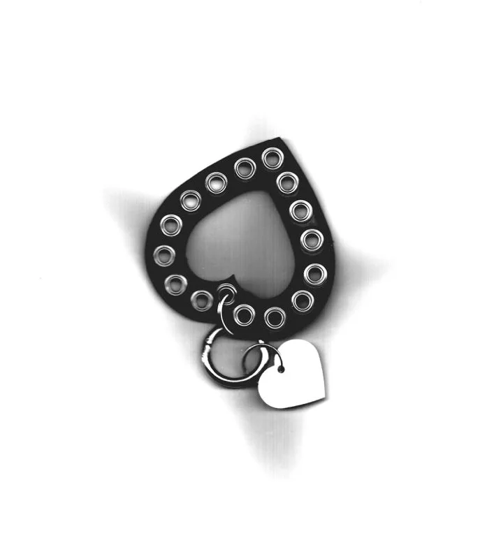 Nipple covers for all types of clothing-Heart Keyring
