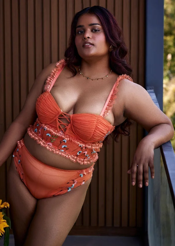 Sexy lingerie for curvy women’s wear-Cassandra Orange Floral Embroidered High-Rise Briefs
