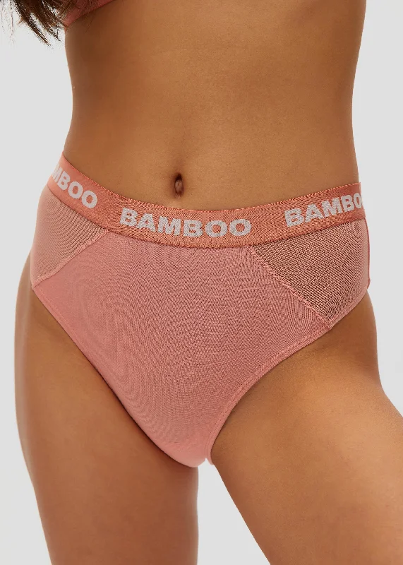 Women's panties with thick waistband-Classic Bikini with Mesh